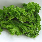 Mustard_Greens[1]