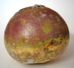 rutabaga[1]