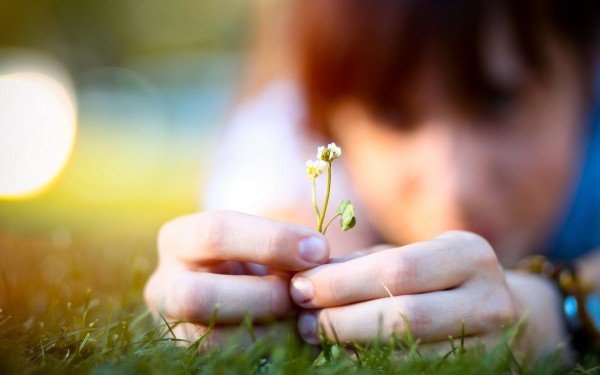 Person-Hands-Holding-Small-Flower-600x375